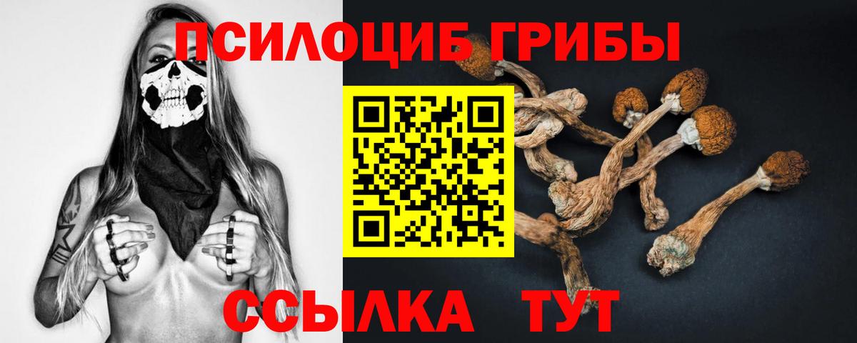 Сорочинск  Псилоцибиновые грибы GOLDEN TEACHER  Вход с VPN 